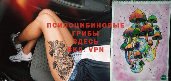 дживик Балахна
